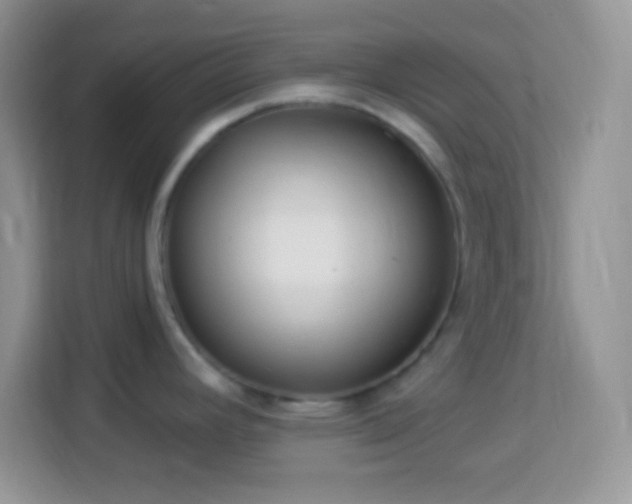 X0000114161392200910081344