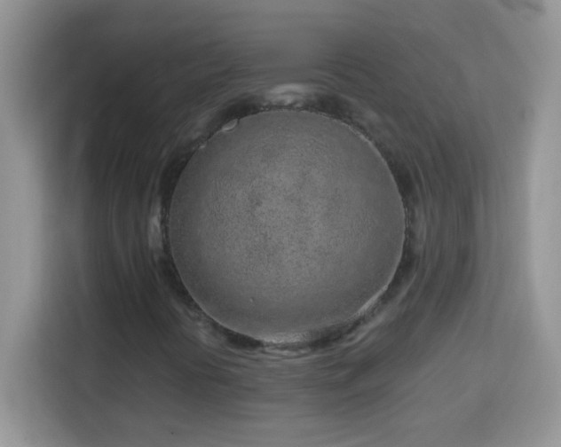 X0000114161394200910081344
