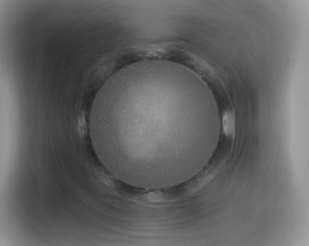 X0000114161395200910081344