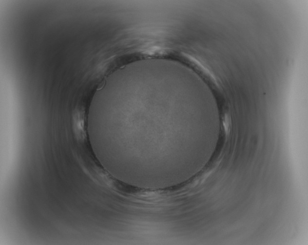 X0000114161396200910081344