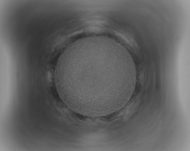 X0000114161397200910081344