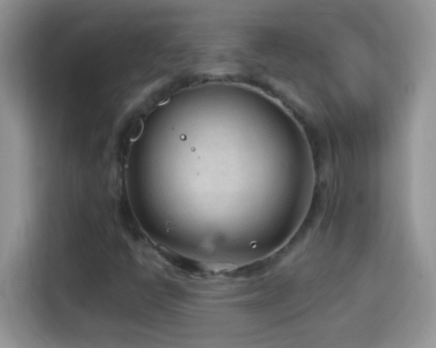 X0000114161398200910081344