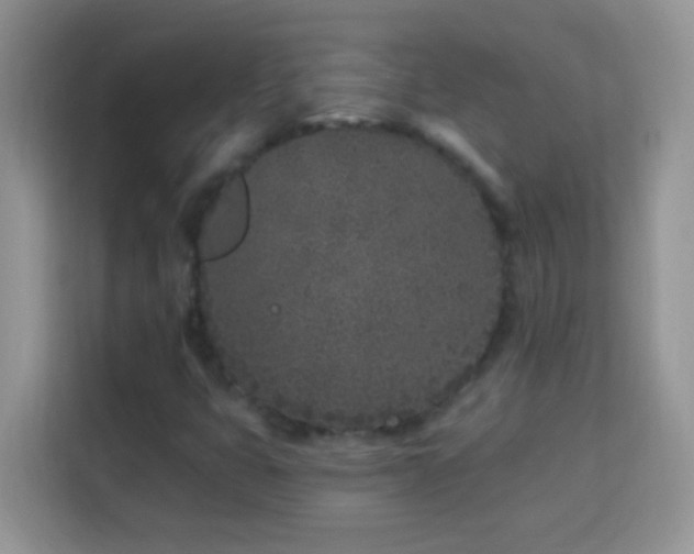 X0000114161399200910081344