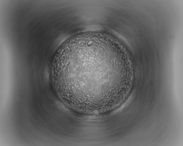 X0000114161401200910081344