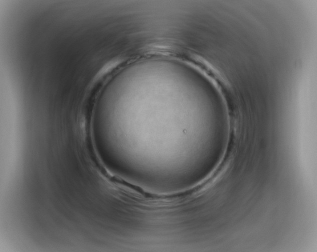 X0000114161402200910081344