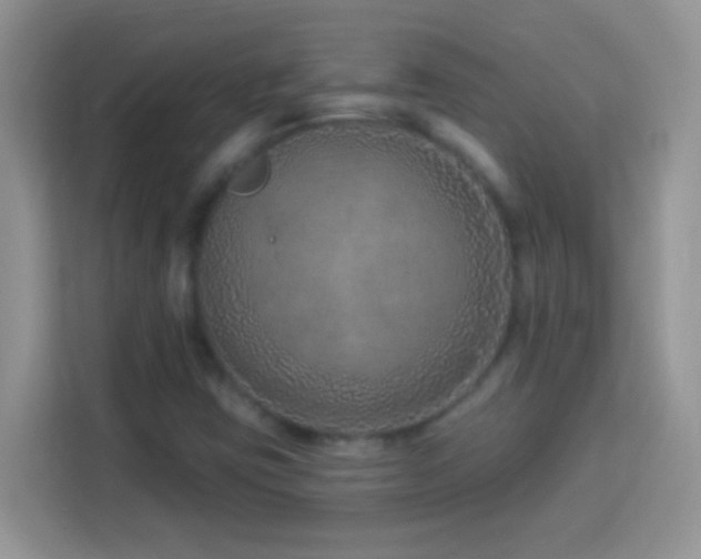 X0000114161403200910081344