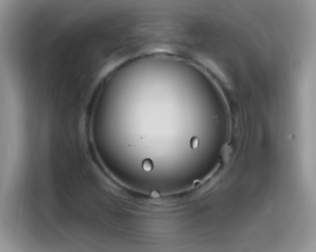 X0000114161404200910081344