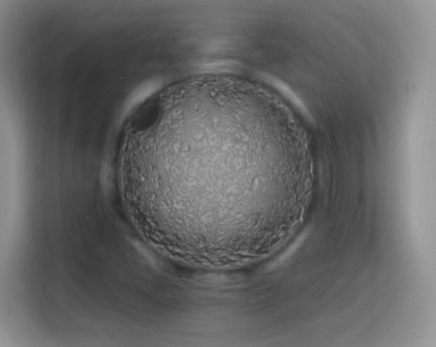 X0000114161405200910081344