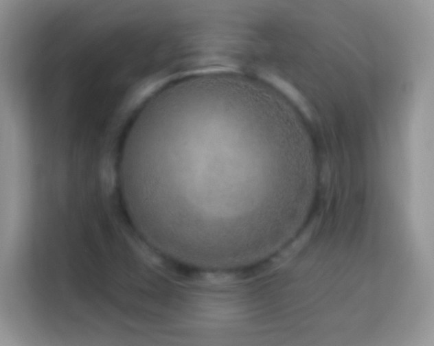 X0000114161407200910081344