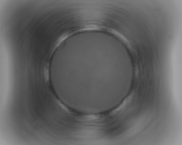 X0000114161409200910081344
