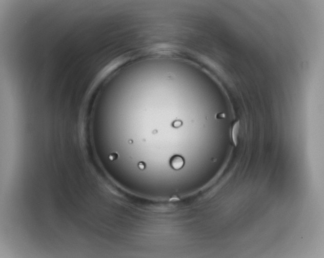 X0000114161410200910081344