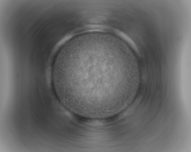 X0000114161411200910081344