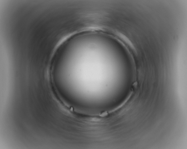 X0000114161412200910081344