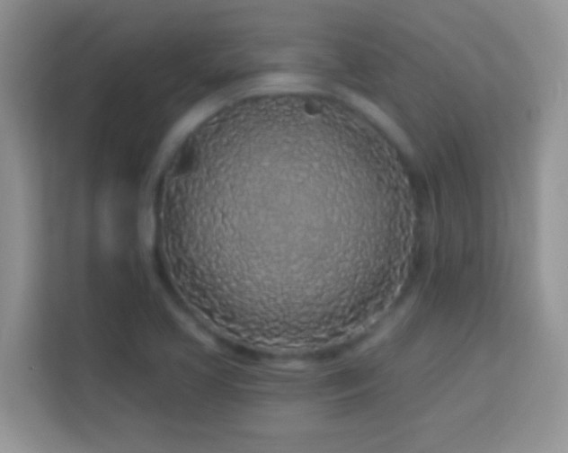 X0000114161413200910081344