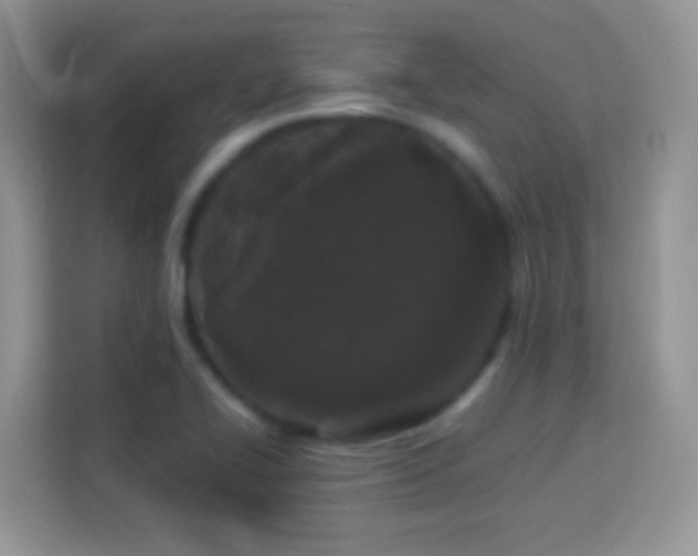 X0000114161414200910081344