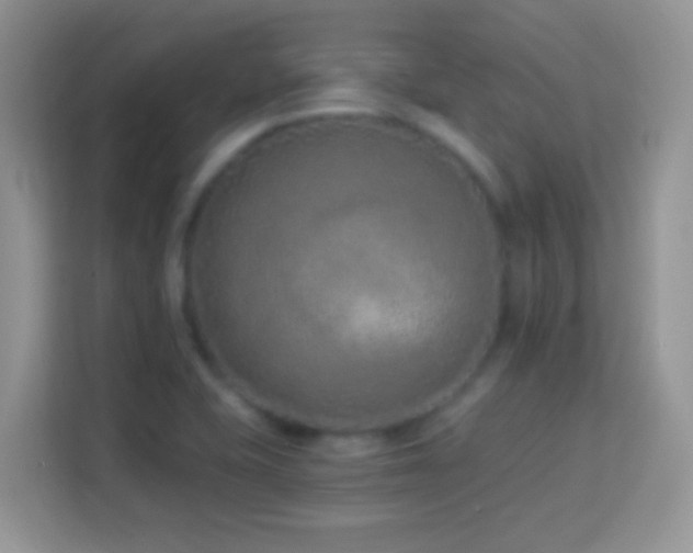 X0000114161415200910081344