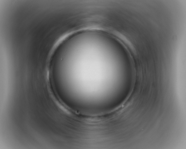 X0000114161416200910081344