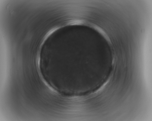 X0000114161418200910081344