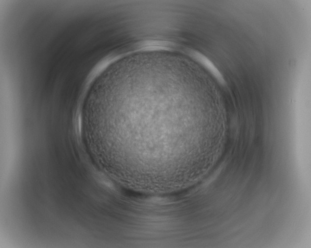 X0000114161419200910081344