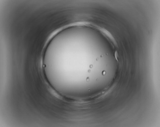 X0000114161420200910081344