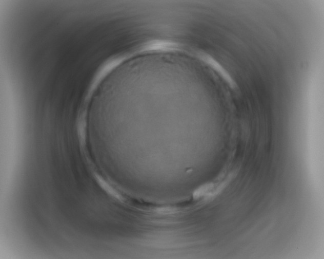 X0000114161421200910081344