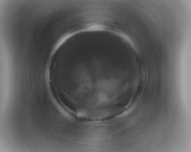 X0000114161422200910081344