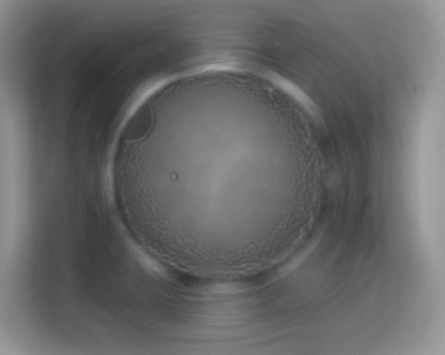 X0000114161423200910081344