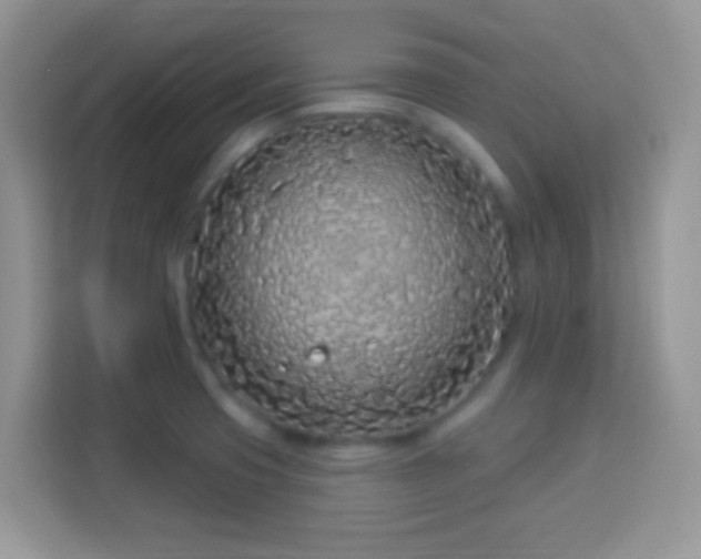X0000114161425200910081344
