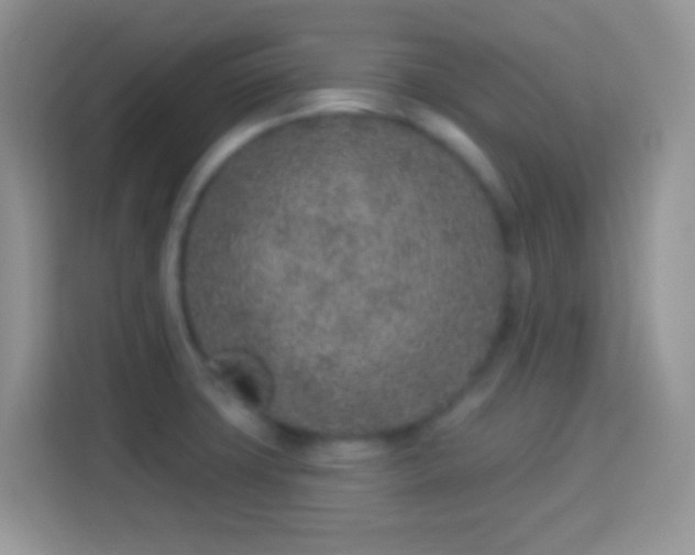 X0000114161427200910081344
