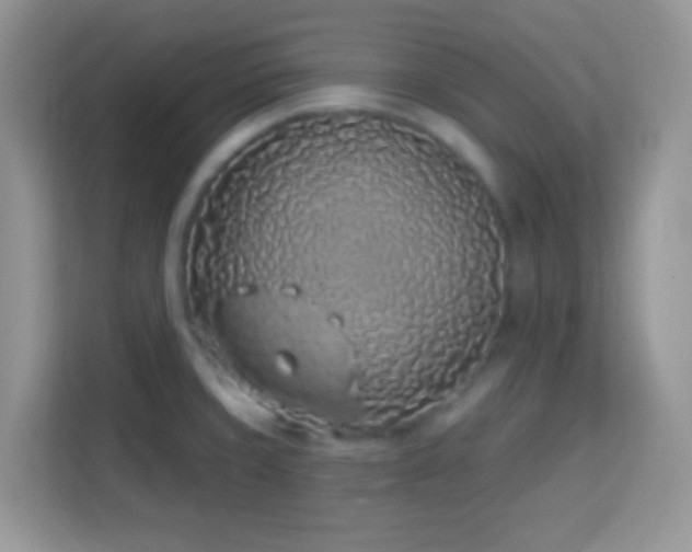 X0000114161429200910081344