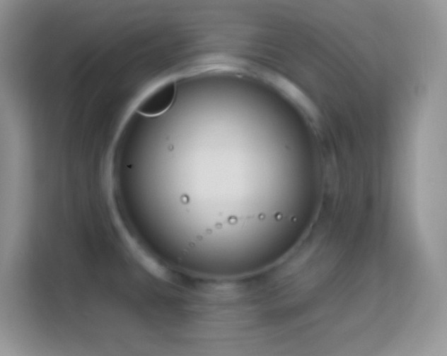 X0000114161431200910081344