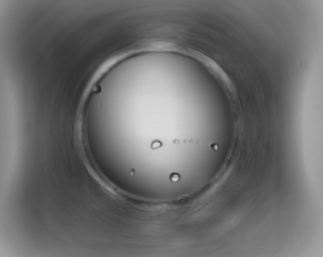 X0000114161432200910081344