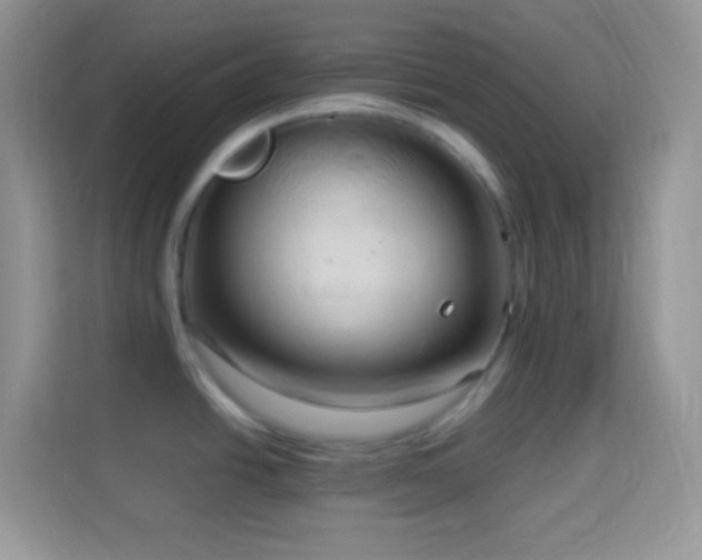 X0000114161438200910081344