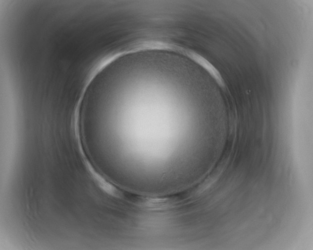 X0000114161439200910081344