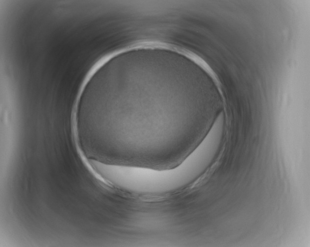 X0000114161440200910081344