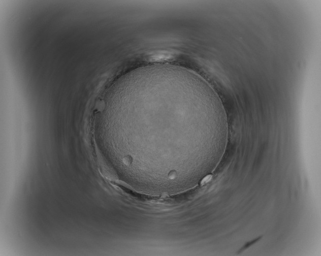 X0000114161441200910081344