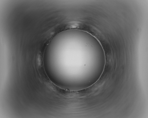 X0000114161442200910081343