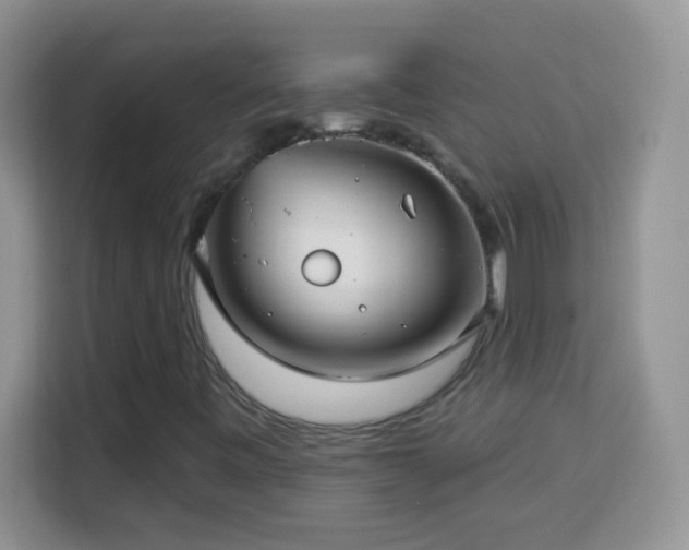X0000114161443200910081343