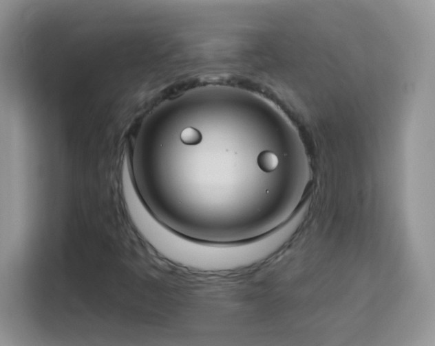 X0000114161445200910081343