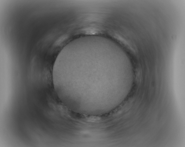 X0000114161446200910081343