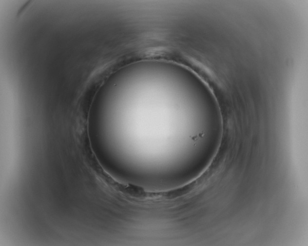 X0000114161447200910081343