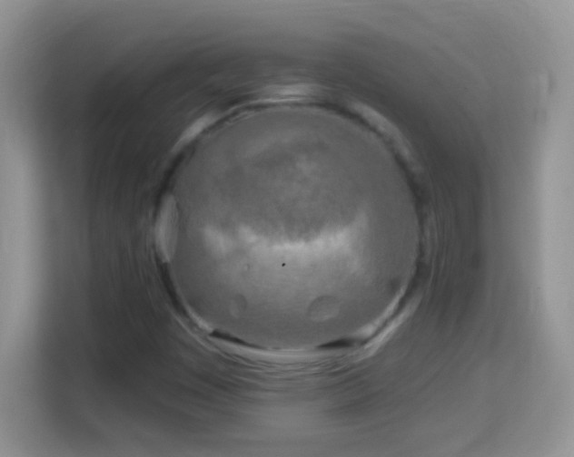 X0000114161449200910081343