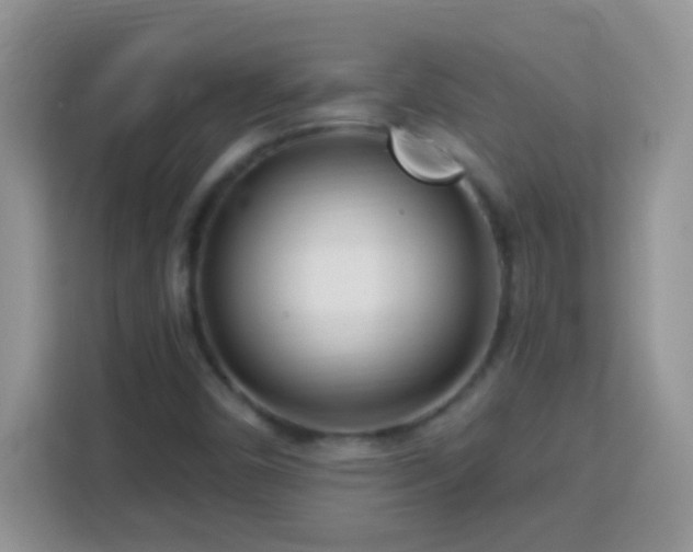 X0000114161450200910081343