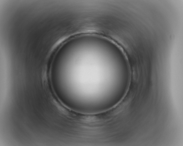 X0000114161452200910081343