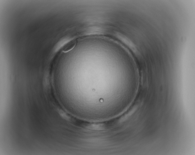 X0000114161453200910081343