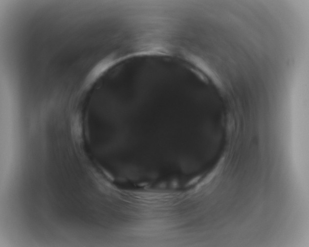 X0000114161455200910081343