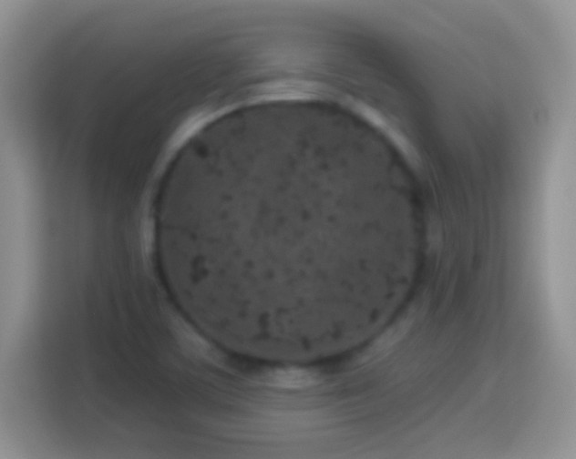 X0000114161459200910081343
