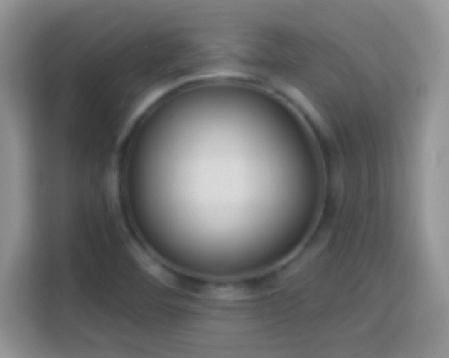 X0000114161460200910081343