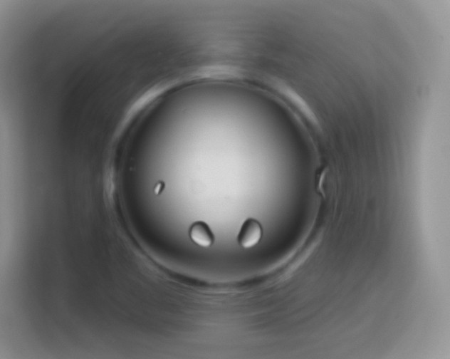 X0000114161461200910081343