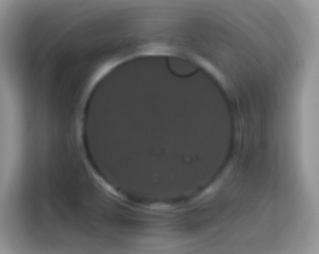 X0000114161463200910081343